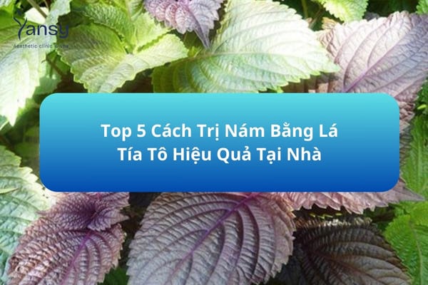 Cách trị nám bằng lá tía tô